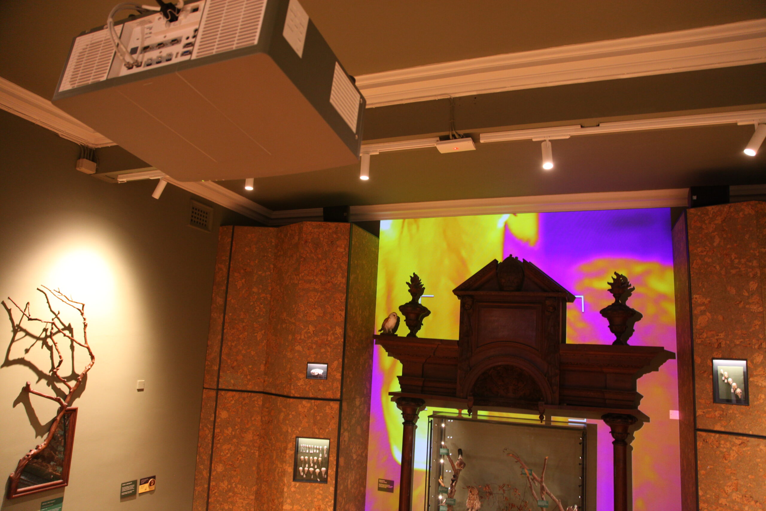Immersive Projection Mapping installation at the Royal Cornwall Museum